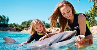 Ведем ребенка в дельфинарий